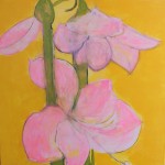 Amaryliss 2